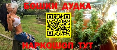 тгк Сланцы