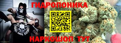 тгк Сланцы