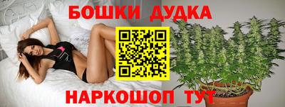 ГАЛЛЮЦИНОГЕННЫЕ ГРИБЫ Славянск-на-Кубани