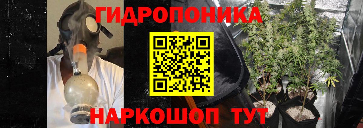 Мурманск  Марихуана SATIVA & INDICA  Бошки Шишки White Widow  Марихуана сатива  Вход с VPN 